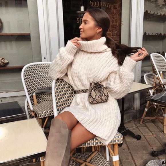 NWT Zara Oversized Sweater/Dress - Picture 5 of 9